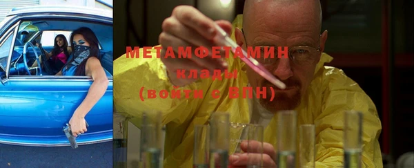 прущие грибы Краснотурьинск
