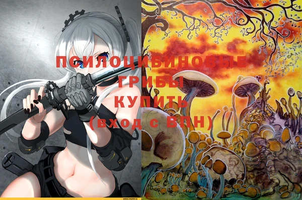прущие грибы Краснотурьинск