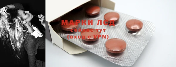 прущие грибы Краснотурьинск