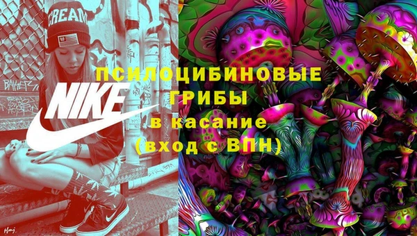 прущие грибы Краснотурьинск