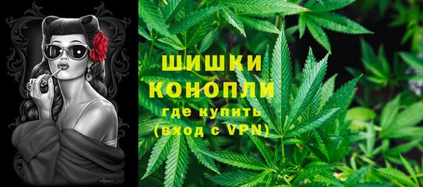 прущие грибы Краснотурьинск