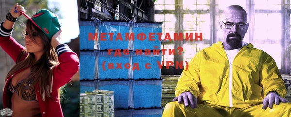 прущие грибы Краснотурьинск