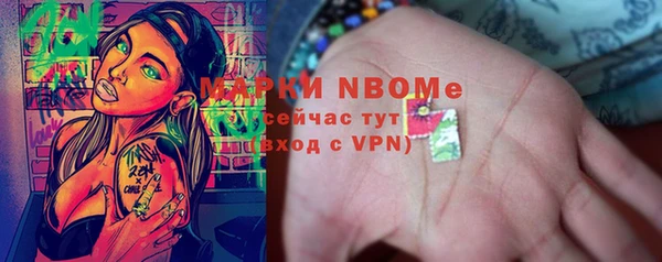 прущие грибы Краснотурьинск