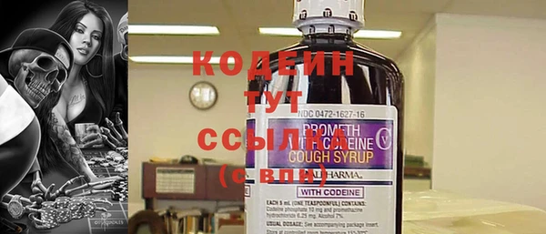 прущие грибы Краснотурьинск