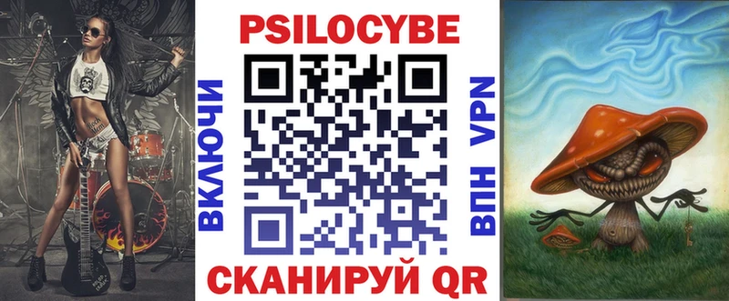 Купить где  Высоцк  Галлюциногенные грибы Cubensis 
